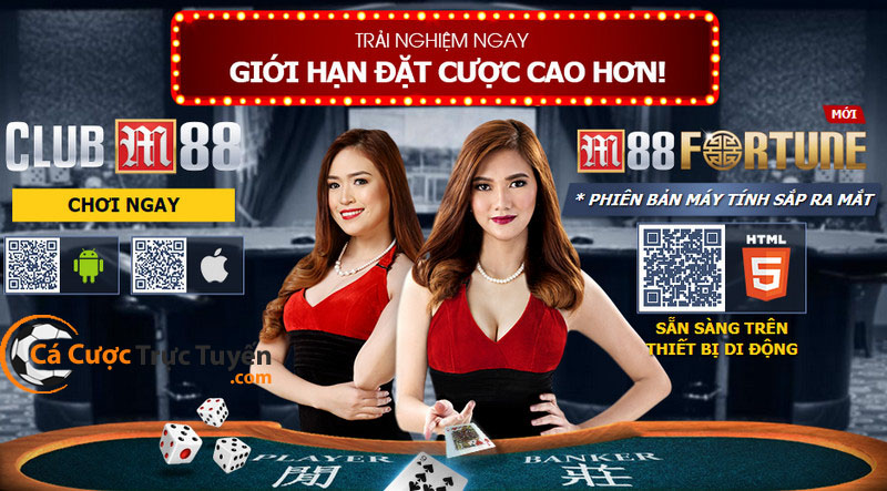 Top 5 trang cá cược thể thao uy tín và chất lượng nhất 4 trang ca cuoc the thao nha cai uy tin m88