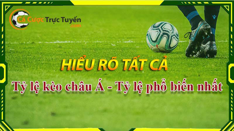 Hướng dẫn cá cược bóng đá kèo châu á hiệu quả năm 2026 5 Các tỷ lệ kèo châu á phổ biến nhất hiện nay